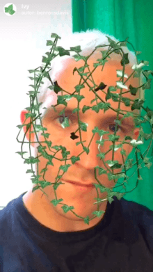 Ivy