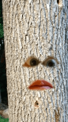 treeface v2