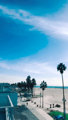 cool mint breeze