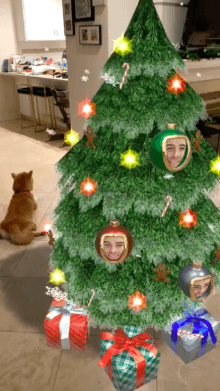 holiday face tree