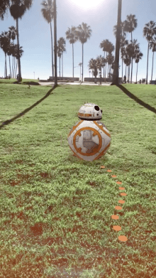 pocket bb-8
