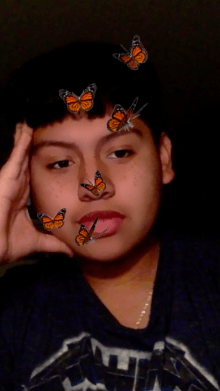 butterfly face 2