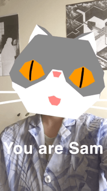 you are sam