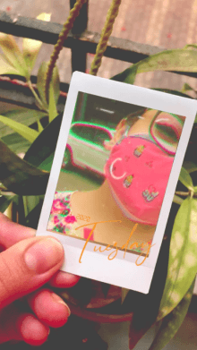 polaroid memories