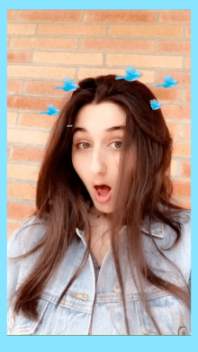 dizzy bird