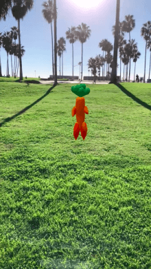 dancing carrot