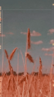 desert zone jagxkl