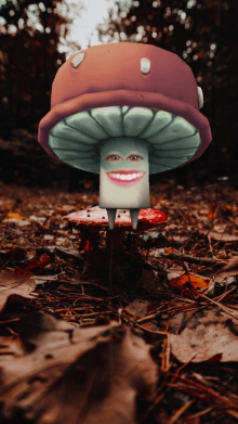 mushroom