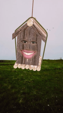 bird house