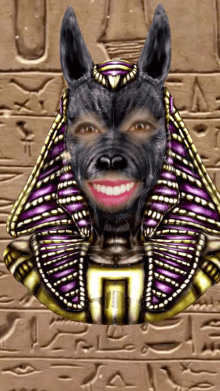 anubis