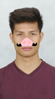 porco rosso