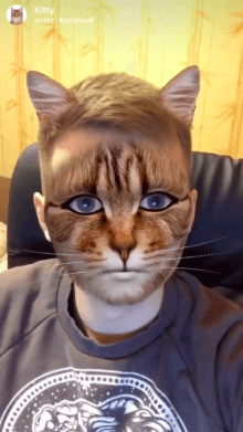 Kitty