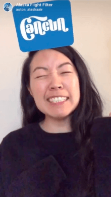 Alaska Flight Filter