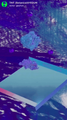 TNT |BotanicalAYEDUN