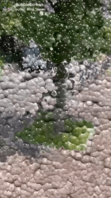 BubbleScreen