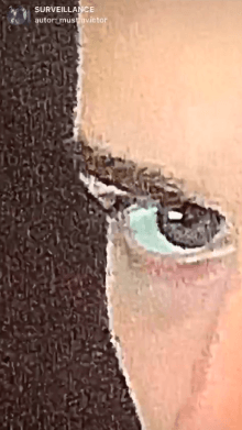 SURVEILLANCE