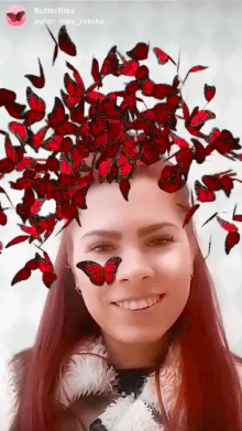 Butterflies