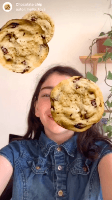 Chocolate chip