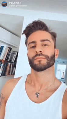 PELAYO 1