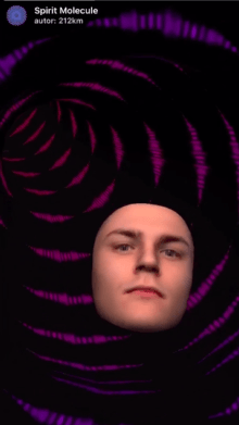 Spirit Molecule