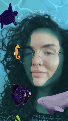 Soy Estuarino