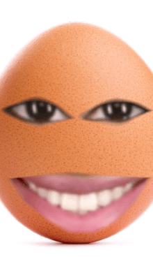 egg