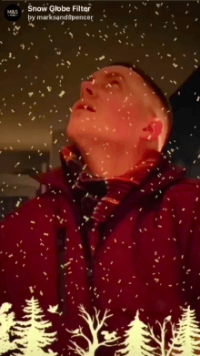 snow globe filter