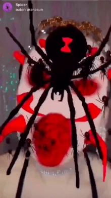 Spider