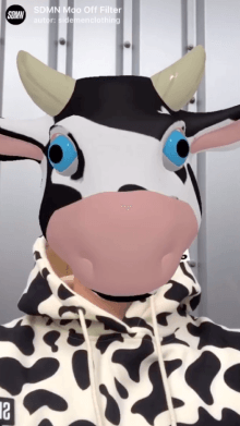 SDMN Moo Off Filter