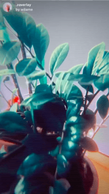 .zoverlay