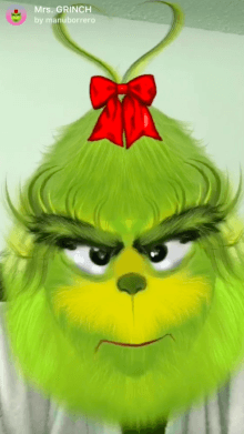 Mrs. Grinch