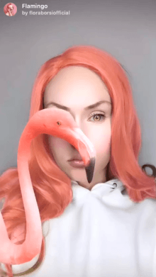 flamingo