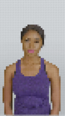 plastic bricks
