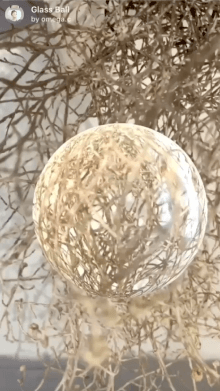 Glass Ball