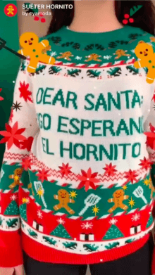 SUETER HORNITO