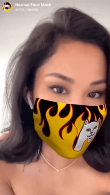 Nermal Face Mask