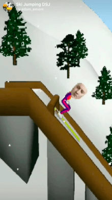 Ski Jumping DSJ