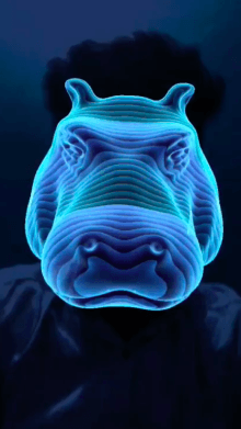 Holographic Animals