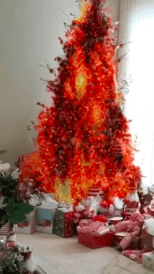 Fire and Ice Tree