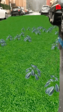 Greenify