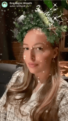 Eco Moroz Wreath