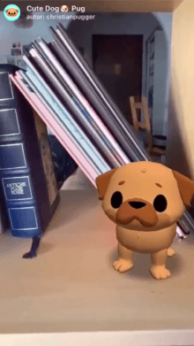Cute Dog🐶 Pug