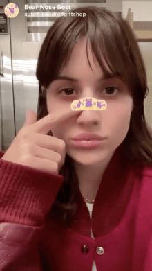 Bear Nose Best