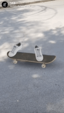 SK8