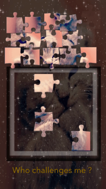 Puzzle