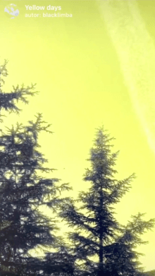 Yellow days