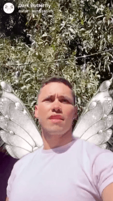 Dark Butterfly