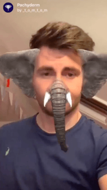 Pachyderm