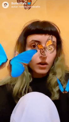 Butterflies