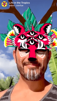 Life in the Tropics